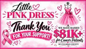 CCBBF 2026 Little Pink Dress Event raised 81k for cancer patients in Cullman County, Alabama